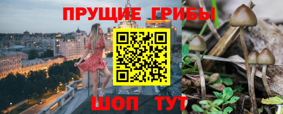Псилоцибиновые грибы Psilocybine cubensis  Вход с VPN  Тайшет 